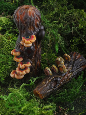 Amani Summerday "Big Mushroom Log" I