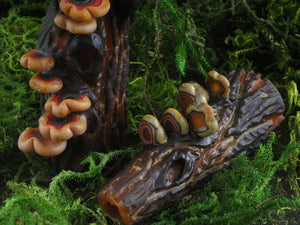 Amani Summerday "Small Mushroom Log" no