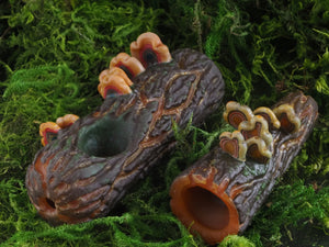 Amani Summerday "Small Mushroom Log" no