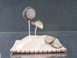 Jessica Tsai "Slivers of Earth"