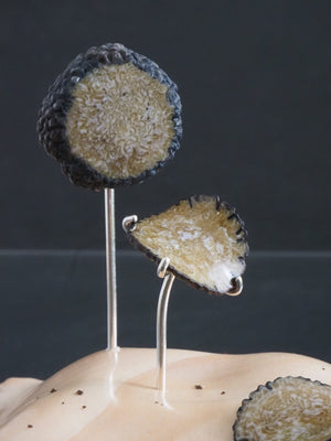 Jessica Tsai "Slivers of Earth"