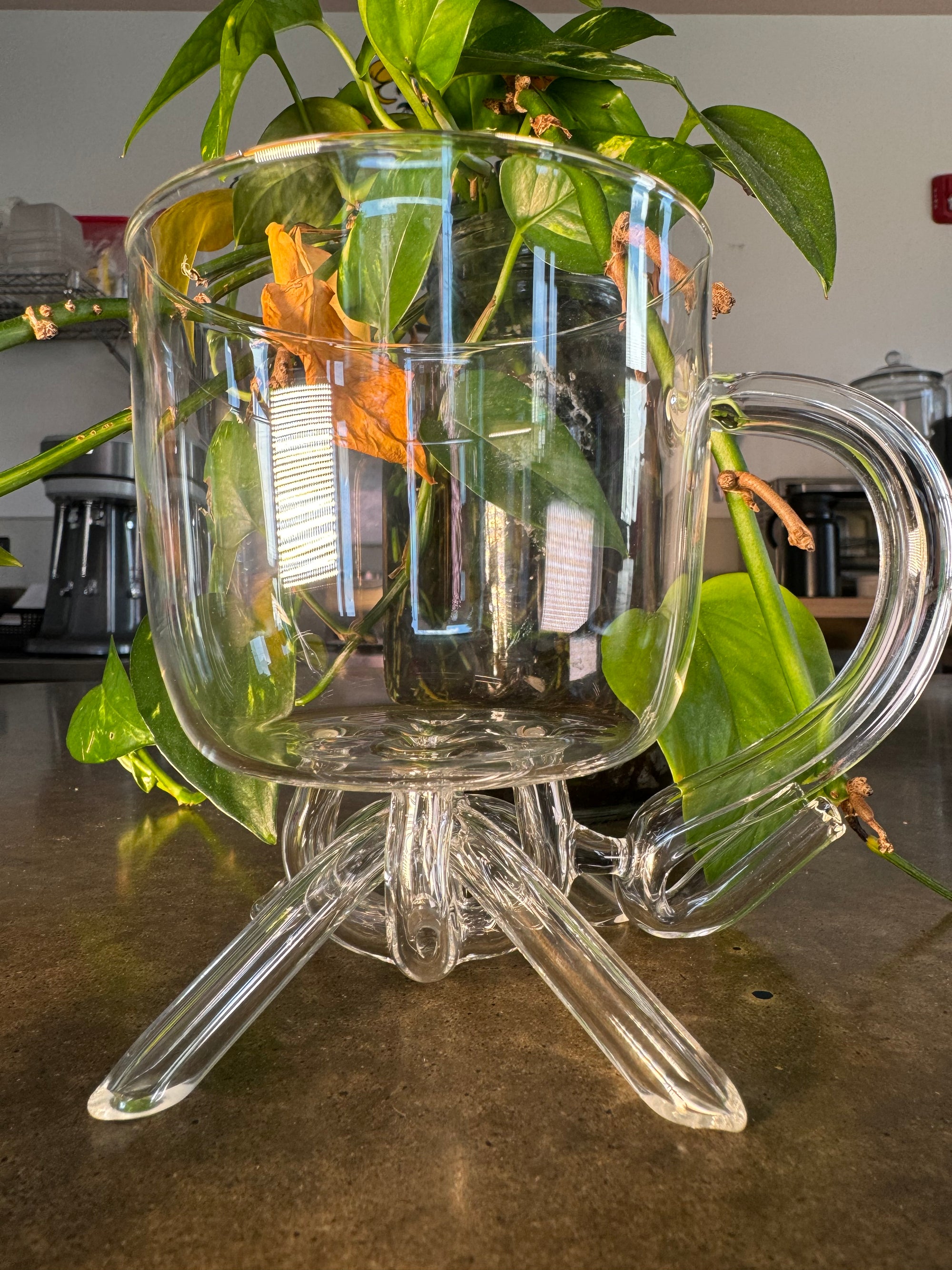 Yent-"Knot Your Typical Mug"
