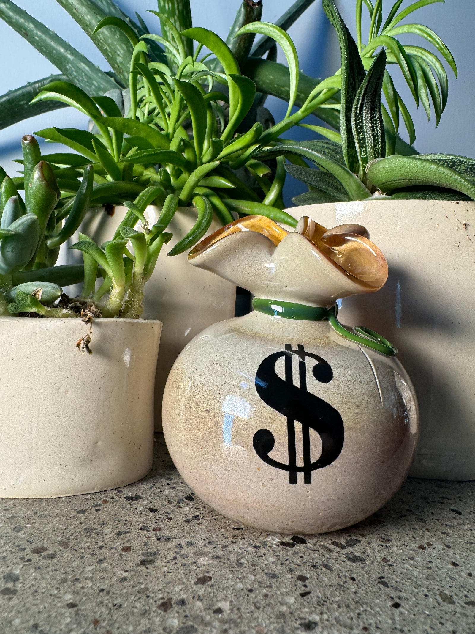 “Cashed Money Bag Tray”