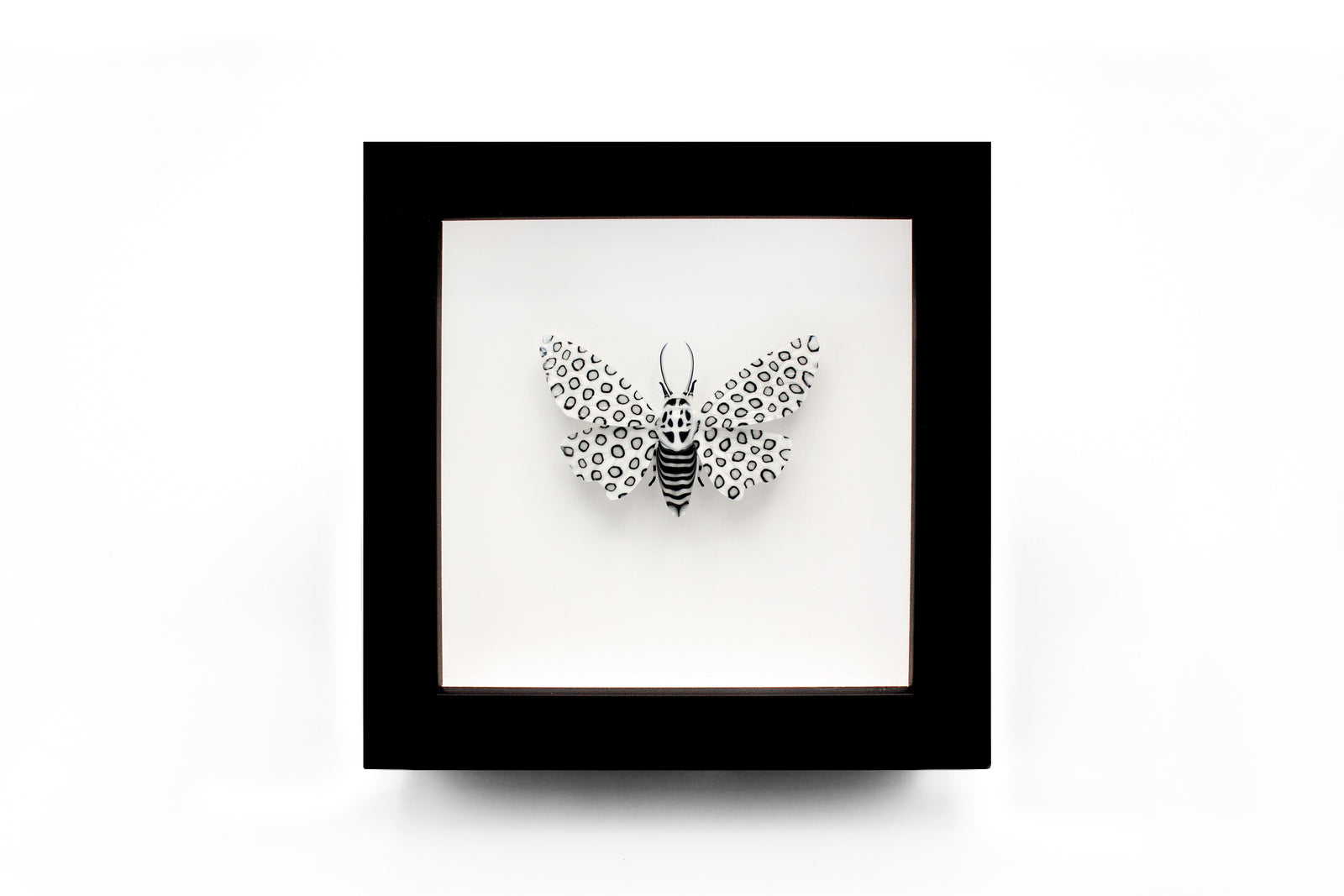 Jessica Tsai x Mike Raman - "Runaround Sue"