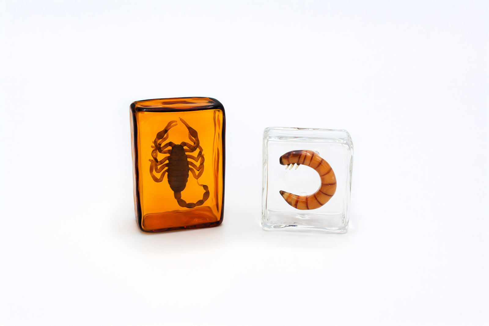 Jessica Tsai - "Extra Protein"