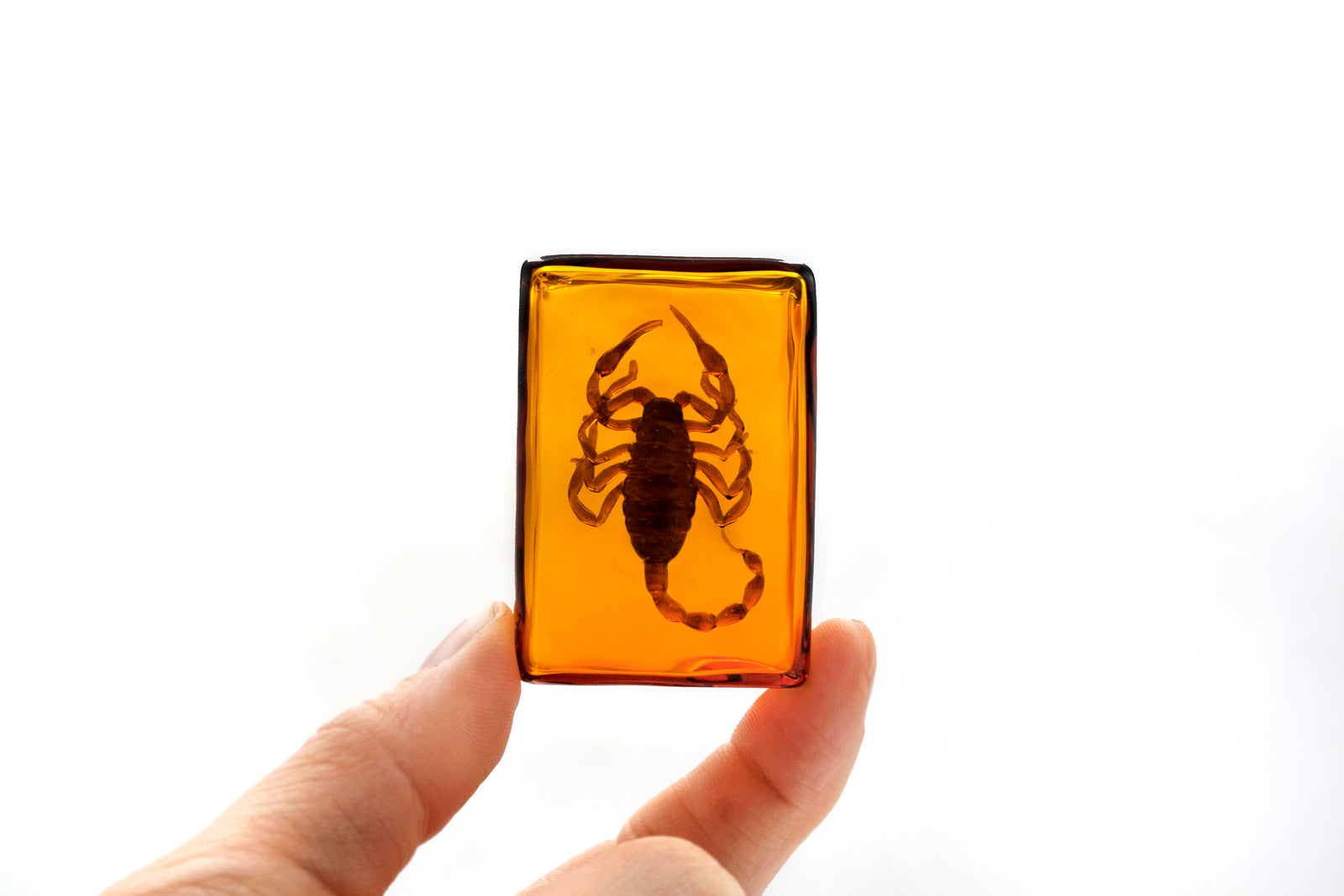 Jessica Tsai - "Sugar Free"