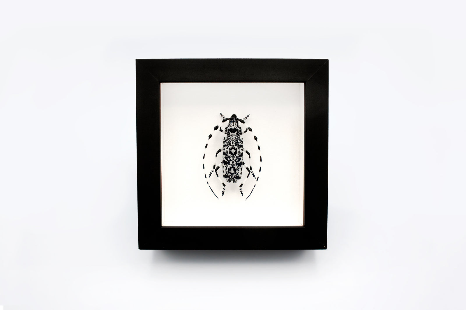 Jessica Tsai x Mike Raman - "Mr Freeze"