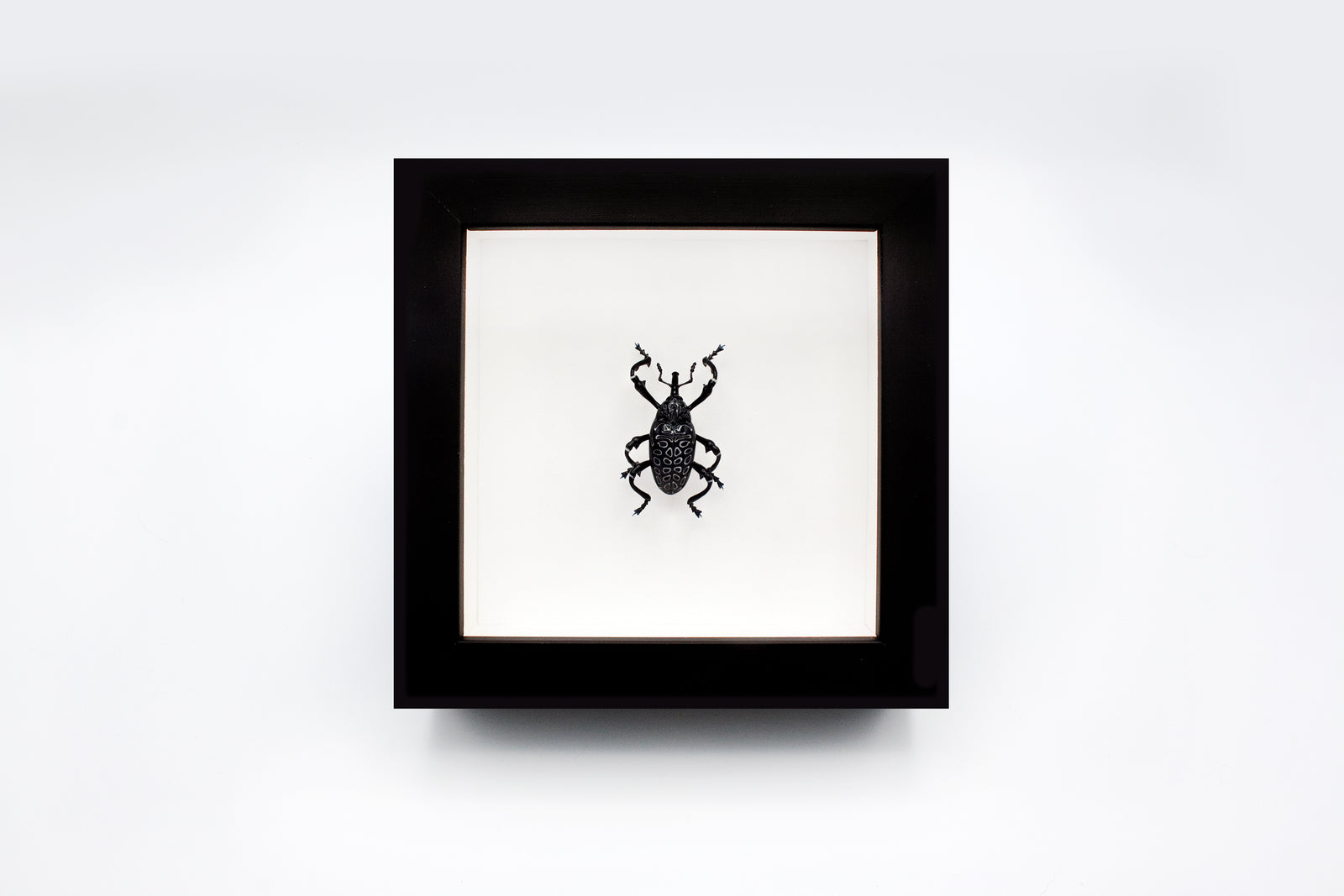 Jessica Tsai x Mike Raman - "Tuxedo Dan"