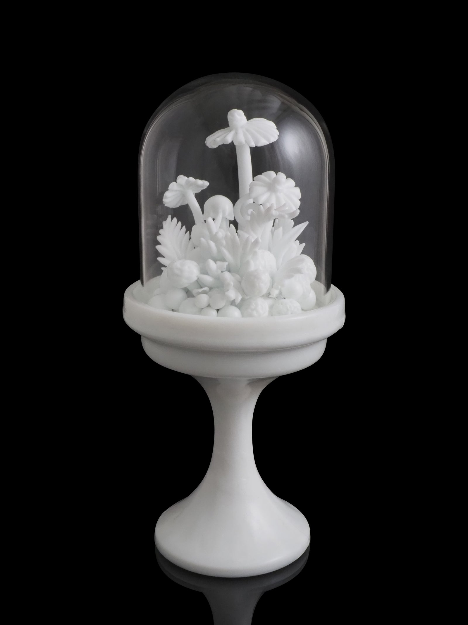 Amber Cowan - "Milk in Cloche"