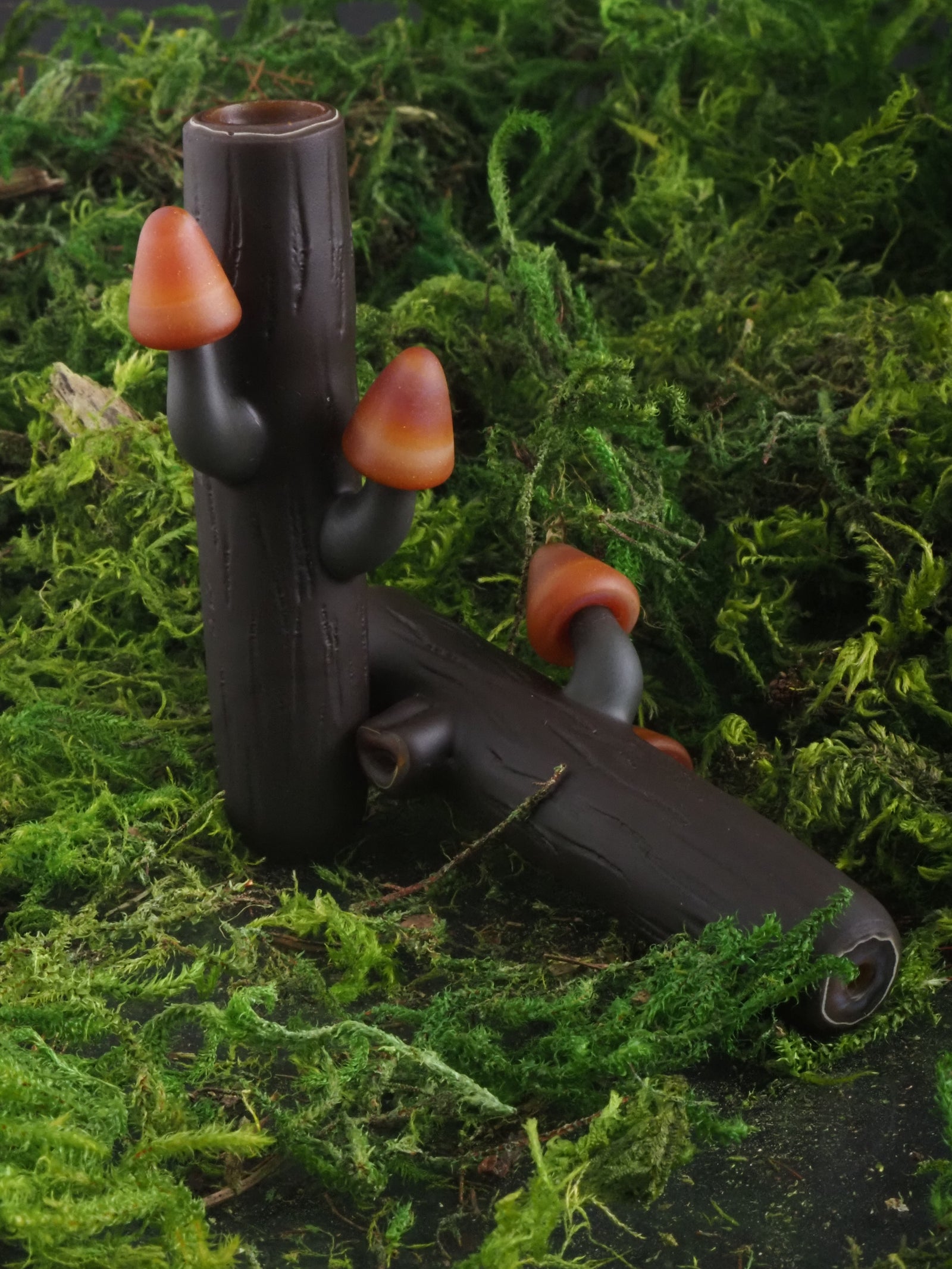 Chad G "Mushroom Logs"