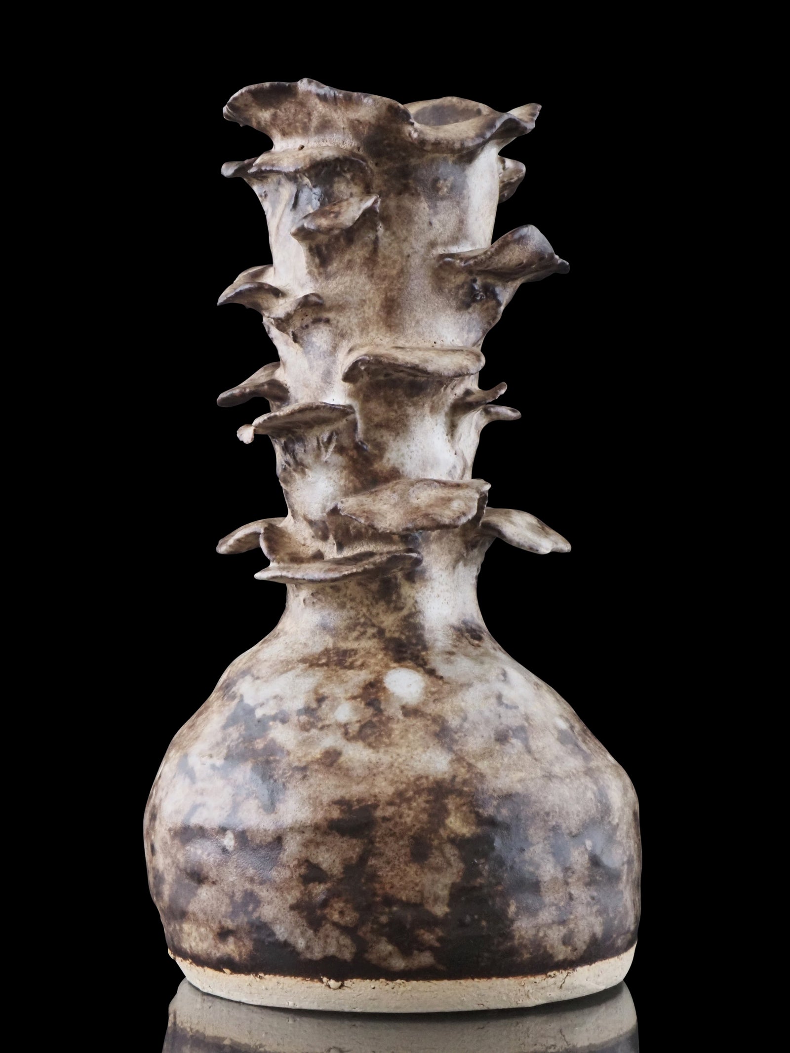 Tina Scepanovic "Turkey Trails"