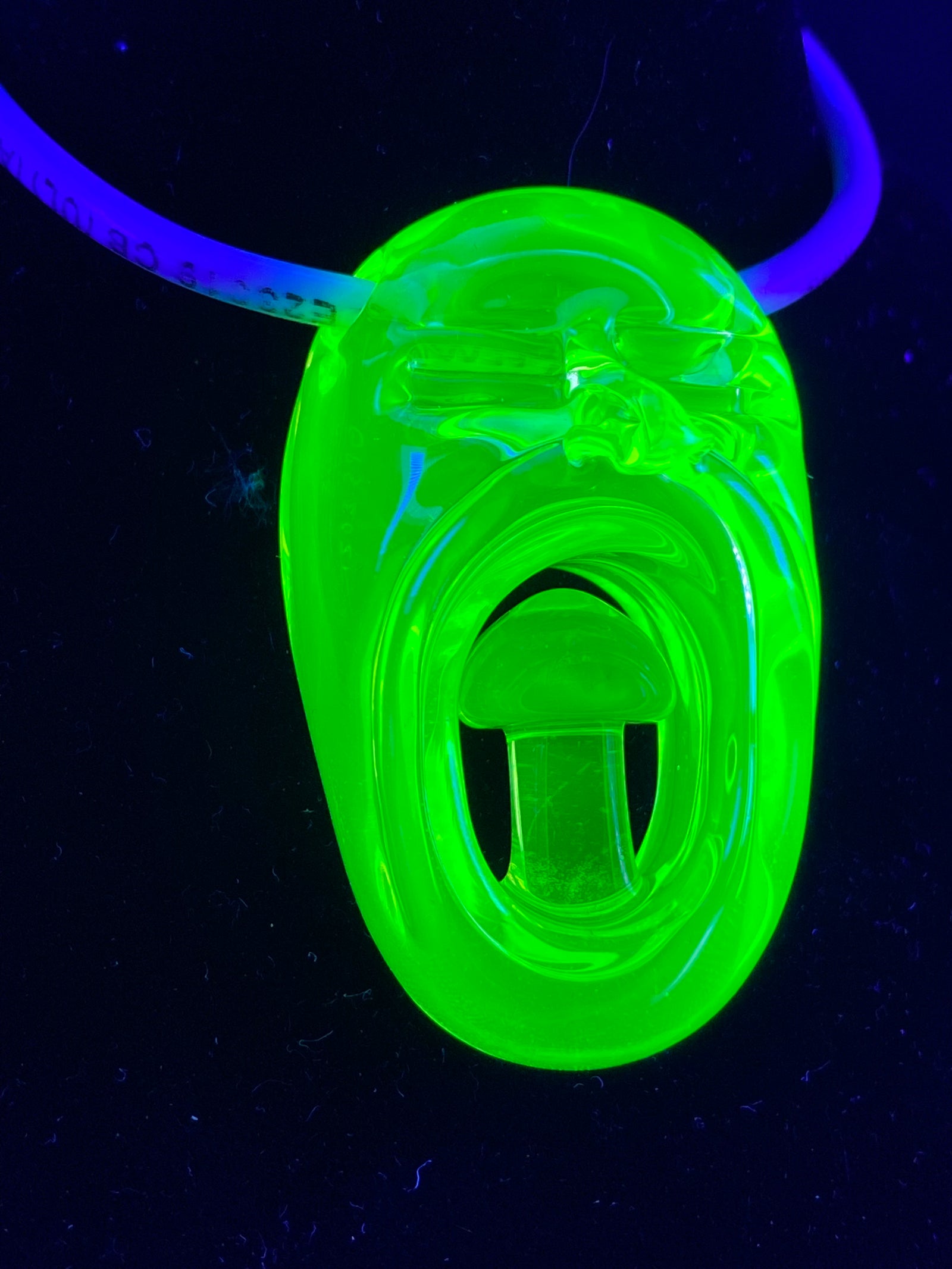 GPS - I Speak for the Mushrooms